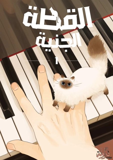 غلاف Fairy Cat